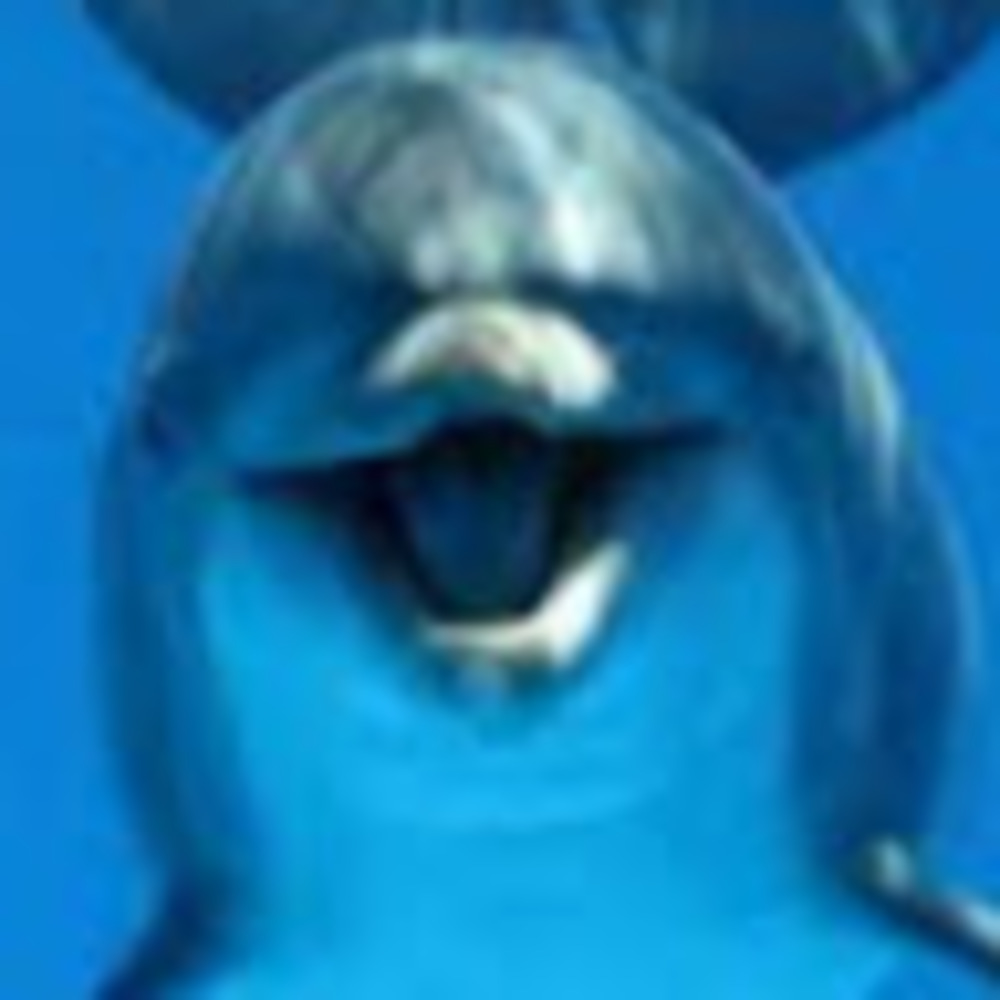 Meet your Posher, Jeremy and miechaela